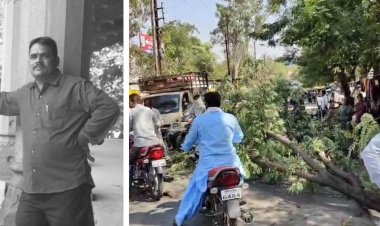 बीते शुक्रवार जेल रोड पर पेड़ की टहनी गिरने से घायल बाइक सवार की हुई मृत्यु, निगम के जिम्मेदार अधिकारियों की लापरवाही बनी मौत का कारण, ऑफिसर कॉलोनी रोड़ सहित ऐसे कई इलाकों में सड़कों पर झूल रही मोटी मोटी टहनियां, कलेक्टर, एडीएम एसपी महोदय खुद यहां से गुजरते लेकिन कर रहे नजर अंदाज