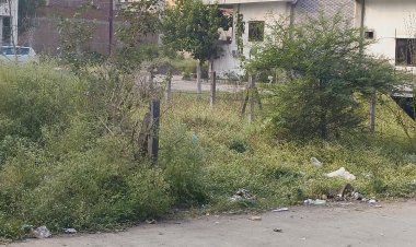 भूखण्ड पर बाउण्ड्रीवॉल का निर्माण नहीं करने वाले भू स्वामियों पर होगा जुर्माना, नगर निगम ने जुर्माने हेतु 5 भूखण्ड किए गए चिन्हित