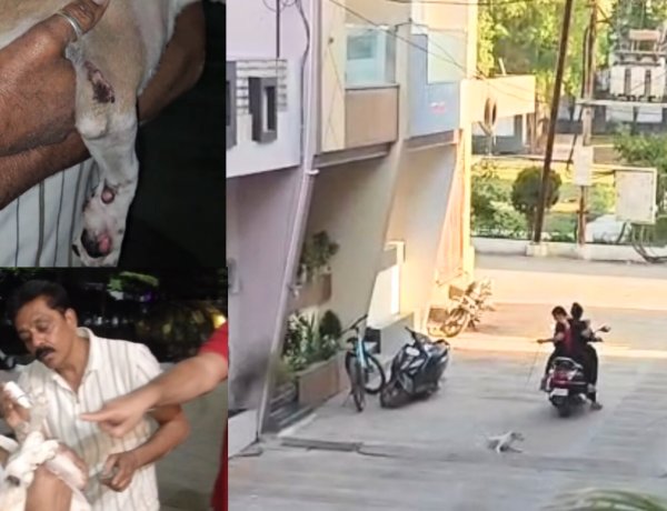 रतलाम में इंसानियत शर्मसार: स्कूटी के पीछे बांधकर पिल्ले को घसीटा, दो महिलाओं पर FIR दर्ज