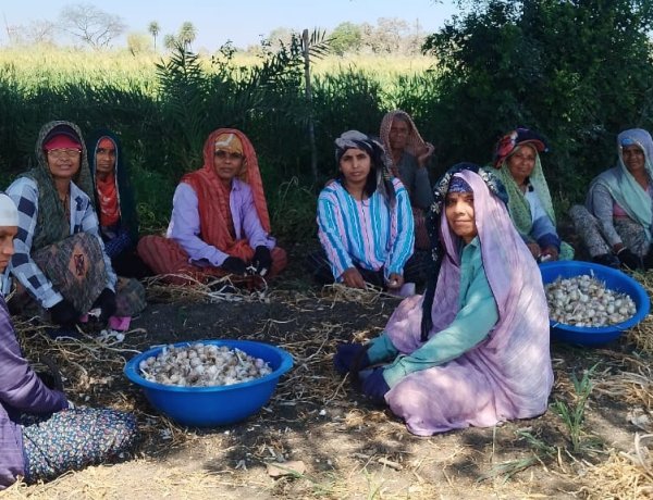 महिलाओं और किसानों की सच्ची हितैषी है कांग्रेस, रश्मि सिंह ने ग्राम पलसोड़ा में महिलाओं के साथ मनाई रंगपंचमी और महिला दिवस